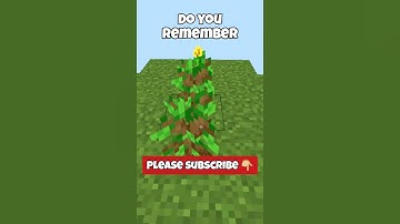 Minecraft Nostalgia 🥹 Do YOU remember? #shorts #minecraft