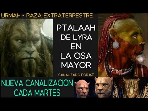 Portales Cuánticos -Urmah- Felino humanoide Ptalaah de Lira en la Osa Mayor