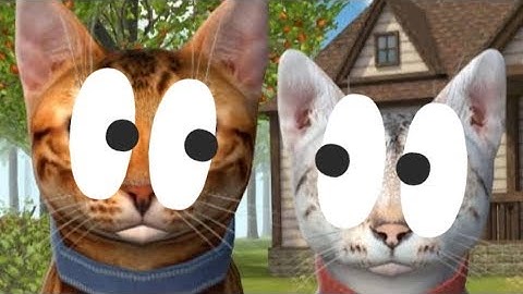 Cat Simulator 2020 - Gameplay Walkthrough for Android ..ALL NEW CAT SIMULATOR!