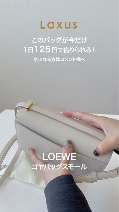LOEWE LAUNCHES NEW GOYA STATEMENT BAGS - 3oud