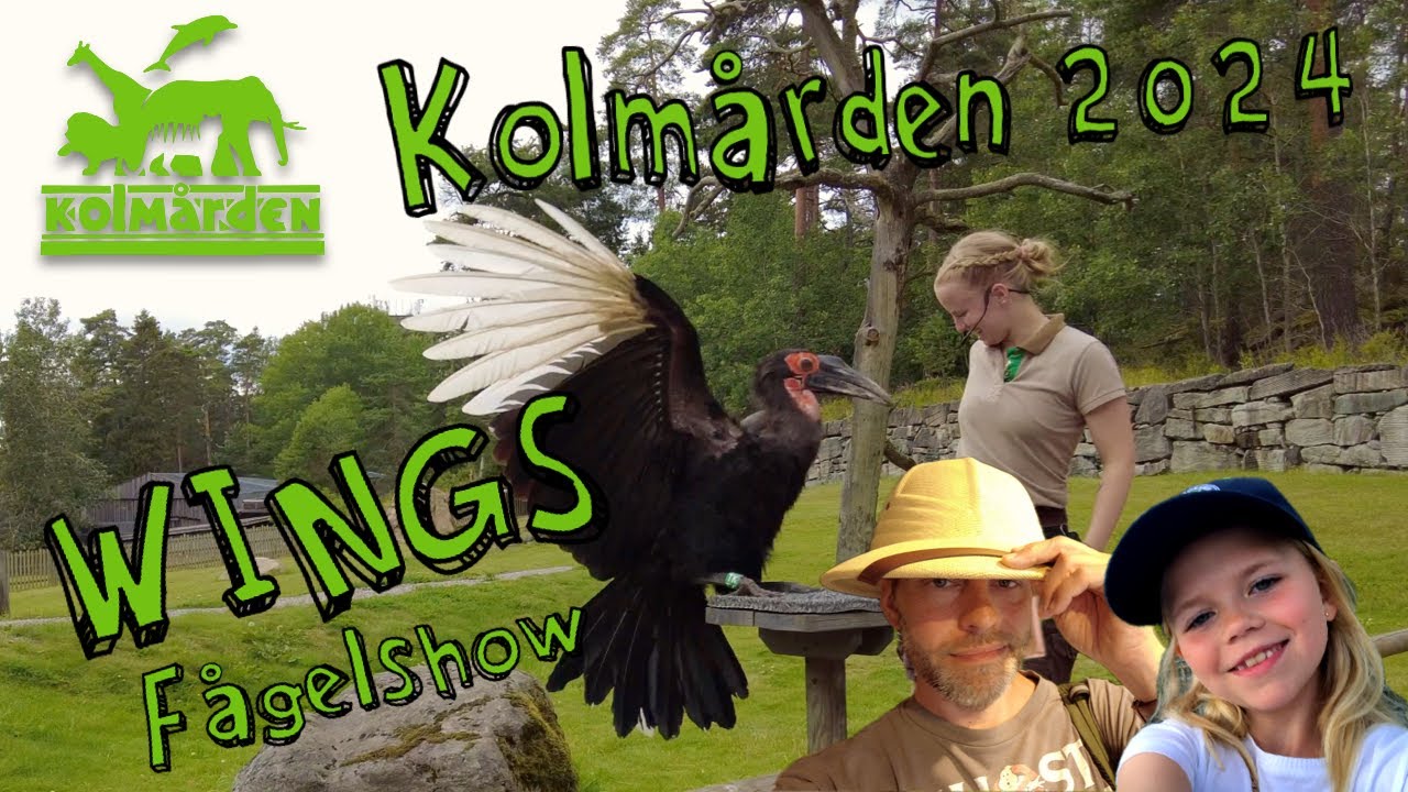 Kolmården 2024 - WINGS 🦅