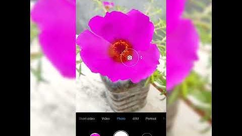 Macro shot on Poco M2 pro mobile.