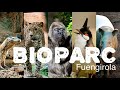 Bioparc Zoo Fuengirola (Malaga) 2019