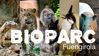 Bioparc Zoo Fuengirola (Malaga) 2019