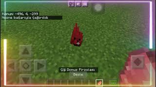 Minecraft kırmızı Köpek nasıl yapılır