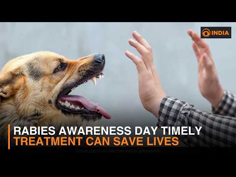 World Rabies Day 2026 Why Every Minute Matters After a Bite