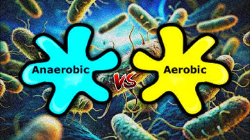 Aerobic And Anaerobic Bacteria - Bacterial Oxygen Requirements (Bacterial Respiration)