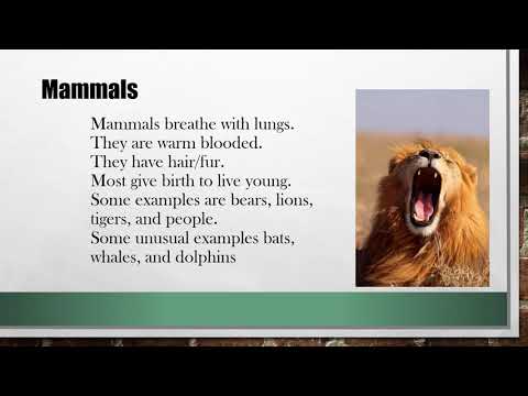 Vertebrates and Invertebrates (Tagalog ang content nito)