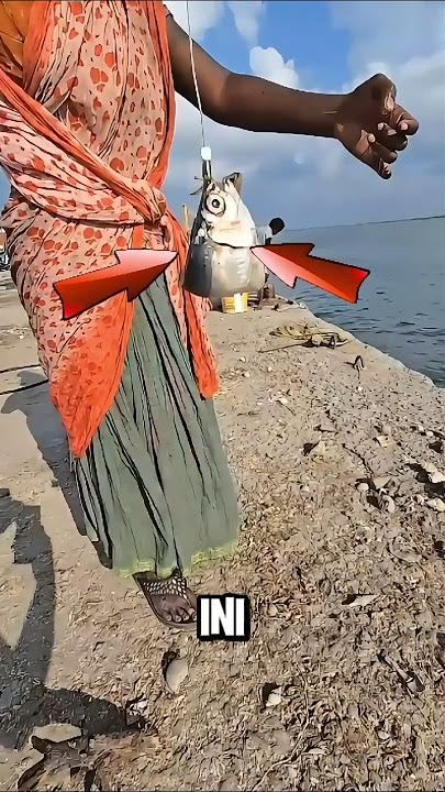 Lihat guys wanita cantik ini mancing ikan dapat lele jumbo ‼️ #shorts #fishing #mancing