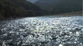 永遠の清流