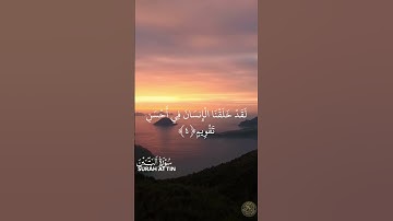 Surat At Tin Islam Sobhi || سورة التين القارئ اسلام صبحي