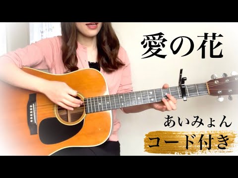 【歌詞コード付】あいみょん「愛の花」 ギター弾き語りCoverd by 金沢美咲　NHK 朝ドラ「らんまん」主題歌
