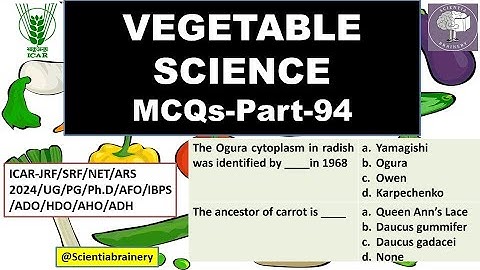 Vegetable Science-MCQs (Part-94) #aho #jrfhorticulture  #icarnet #jrf2024 #ASRBNET2024 #net2024