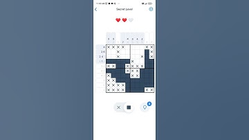 NONOGRAM secret level...
