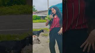 Video Smile Bate Lage Delhi Ke Bhag Le O Papa Ke