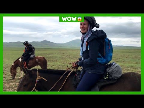 Video: Chinees Mongools Paardenras Hypoallergeen, Gezondheid En Levensduur