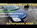 Цены Skoda Fabia Octavia, Renault Kangoo на луцком авторынке. Какое авто купить до 5500$? Часть IV.