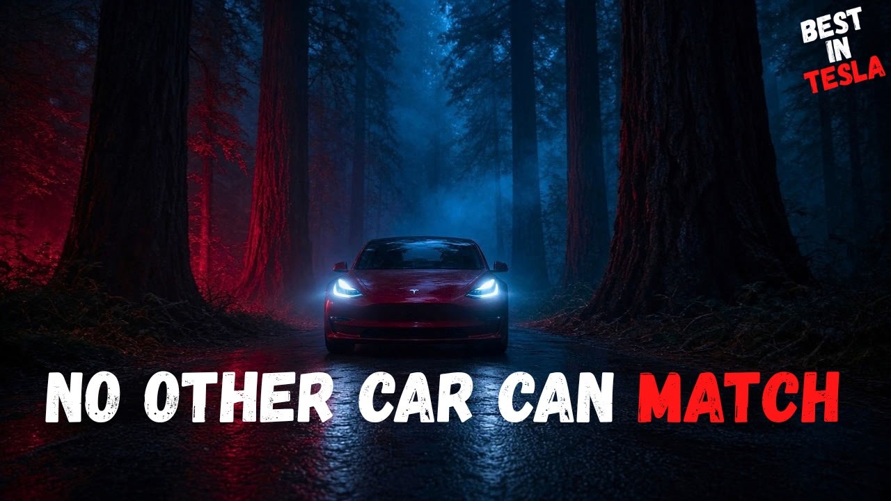 No Other Car Can Match Tesla — Software Is the Whole Game
