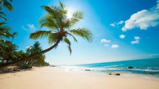 3 HOURS Lounge Chillout Ambient music Summer 2016 | Cocktail Miami | Wonderful Relaxing music