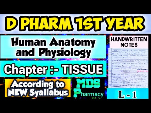 Chapter - TISSUE | Human anatomy and physiology notes | D pharm 1st ...