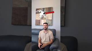 A #goat!? #realtorlife 🤣 #call Igor Reznichenko with #yhsgr #jessewarmkateam #today 413-286-4040
