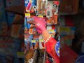this is one of coolest annoying dog toy #toy #kids #funny #lovedog #puppy