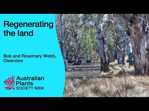 Regenerating the land - Bob and Rosemary Webb, Narromine