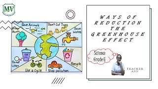 Ways of reducing the greenhouse effect | Science P.6