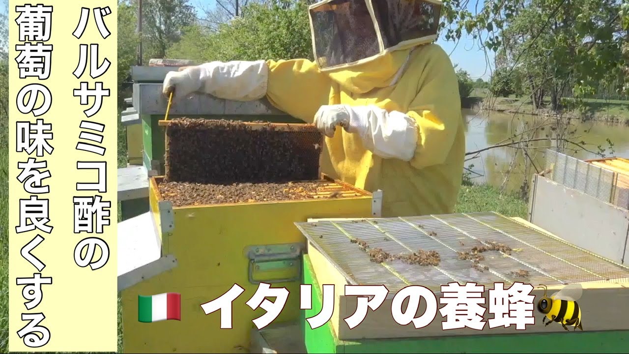 イタリア生活 魅惑のバルサミコ酢の世界へようこそ