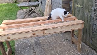 Free Recycled Pallet Workbench  the Drawers Drawback