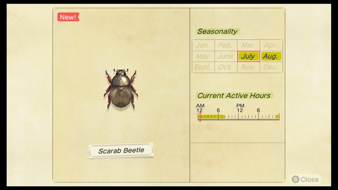 ACNH How to catch a Scarab Beetle, Worth 10k! YouTube
