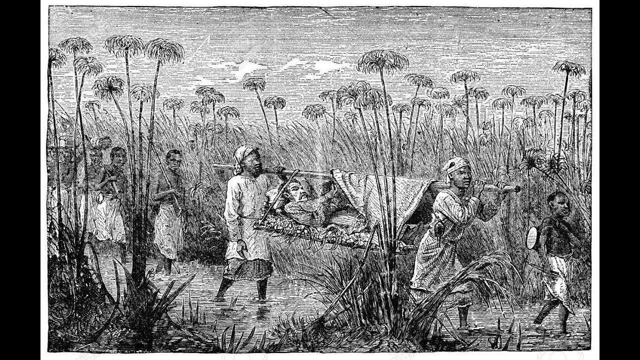 História da África - Aula 6 - África Colonial até 1914