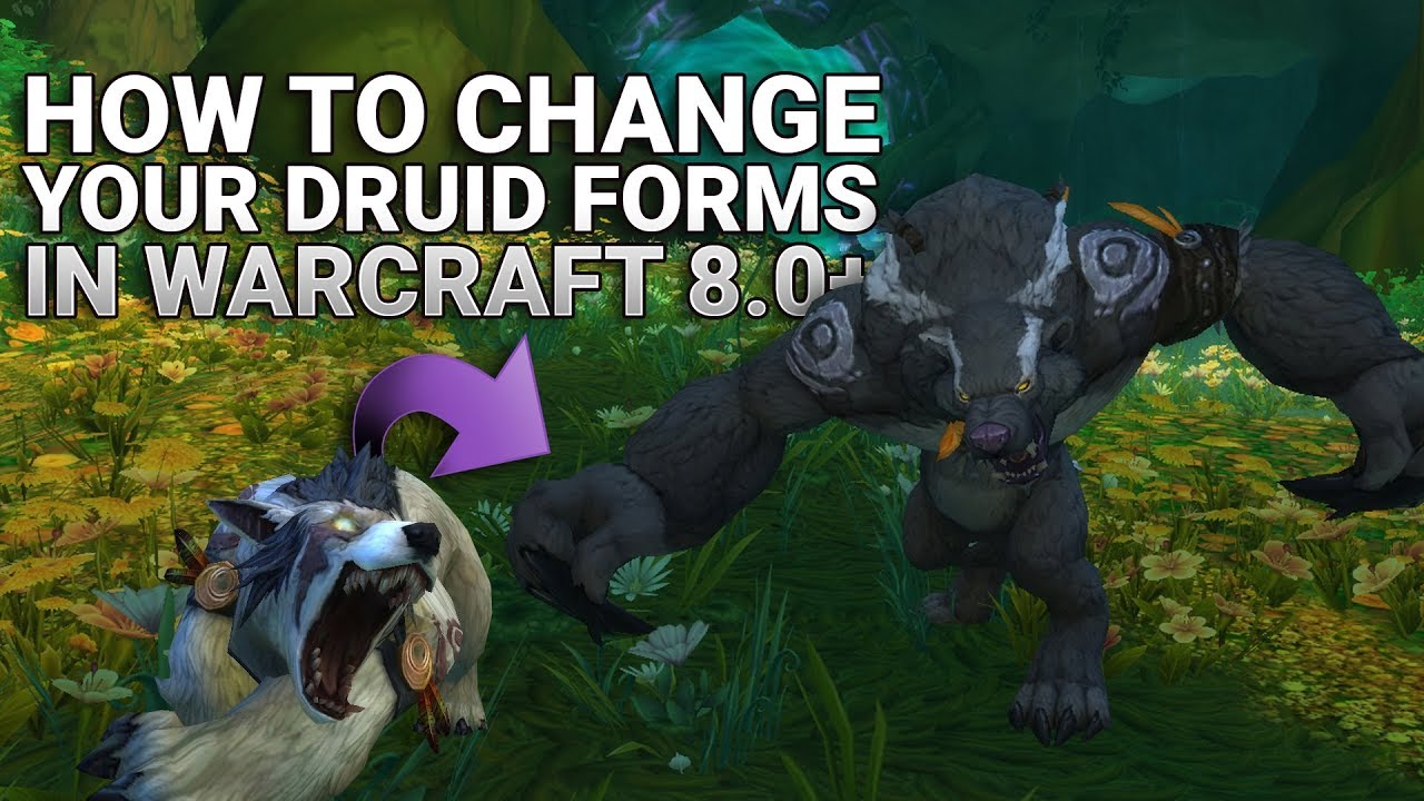 change druid travel form