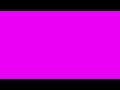 Pink Screen | A Screen Of Pure Pink For 4 Hours | Background | Backdrop | Screensaver | Full HD |