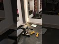Eluru ladies gym satrampadu