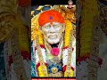happy tulasi puja shri sai baba madhyan  aarti darshan 03/11/2025 #saibabaofshirdi #shirdisai