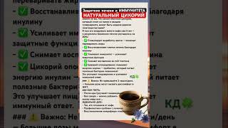 НАТУРАЛЬНЫЙ защитник печени и иммунитета ЦИКОРИЙ#life #shorts