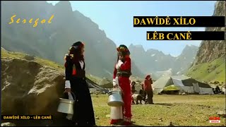 DAWÎDÊ XİLO | LÊB CANÊ