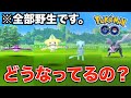 【ポケモンGO】伝説・幻のポケモンが野生で出現しまくり?!何が起きてる?!