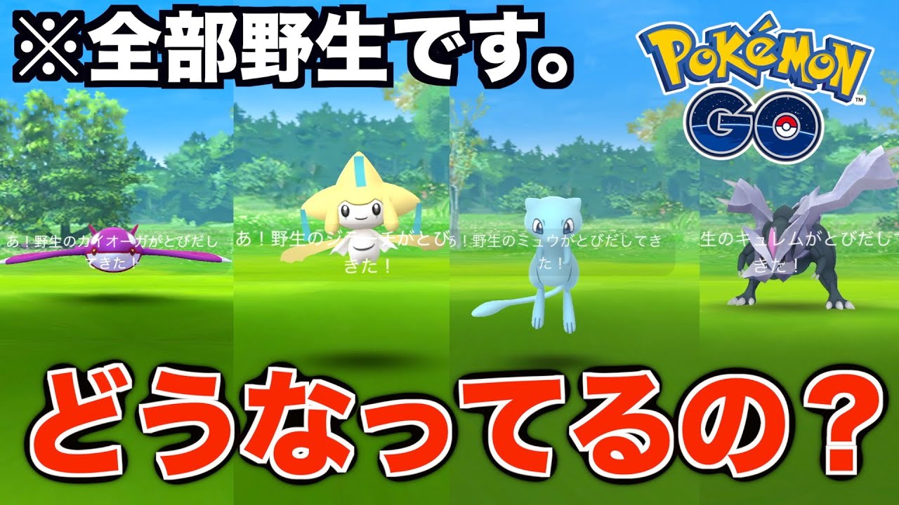 ポケモンgo 伝説 幻のポケモンが野生で出現しまくり 何が起きてる Youtube