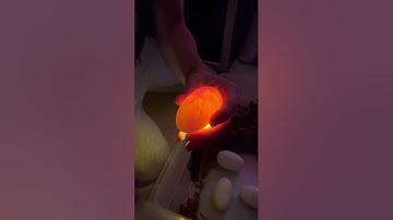 Candling ball python eggs! Great view of the embryos/veins!