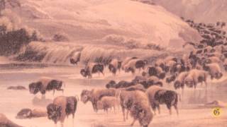 Montana History Minute: Bears and bison replaced by sugar beets