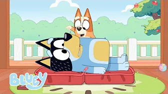 Tiempo de papá e hija 💙🧡 | Bluey Español Canal Oficial