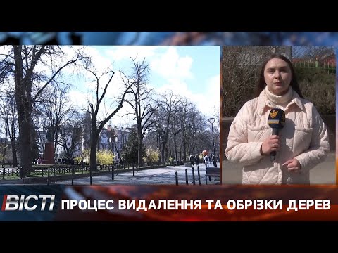 Процес видалення та обрізки дерев на території Івано-Франківської громади