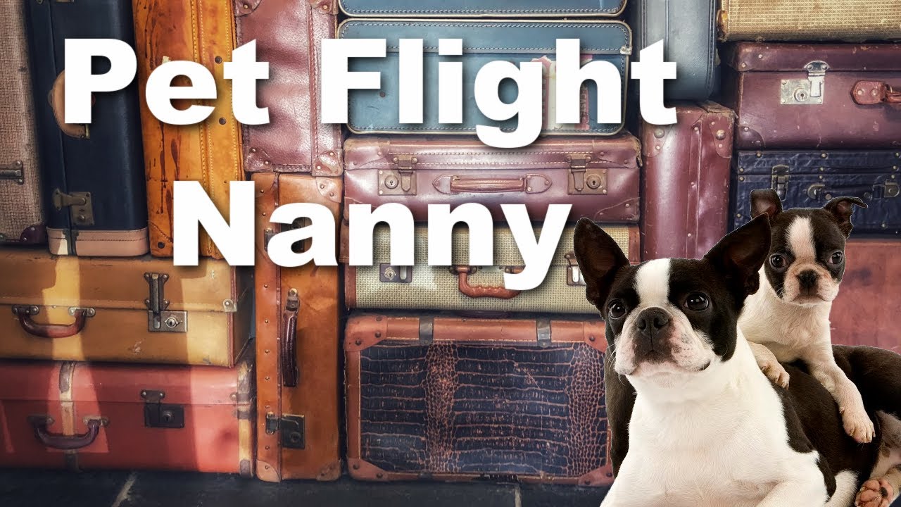 pet nanny travel services