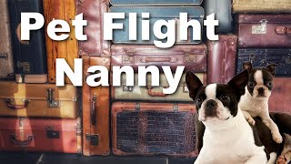 What is a Pet Flight Nanny?