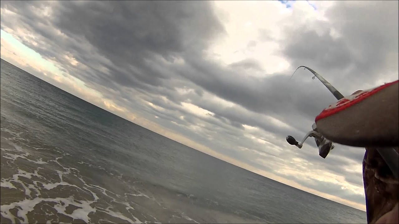 Pesca con la bolognese dalla spiaggia una spigola di bassa pressione. YouTube Pesca con la bolognese dalla spiaggia una spigola di bassa pressione. YouTube