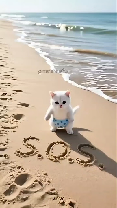 [part 0004_3_🪂 Skydive Gone Wrong_ Baby Kitten_s SOS Rescue #coffindance​ Soong cover.#shorts .#cat