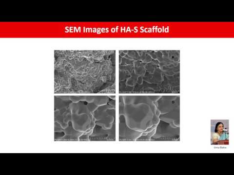 Ionic Substituted Hydroxyapatite Scaffolds Prepared by Sponge Replication Technique...