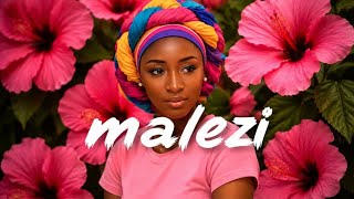 {Free For Profit }“MALEZI' – Emotional Baibuda instrumental Bongo flava Type Beat 2026 
